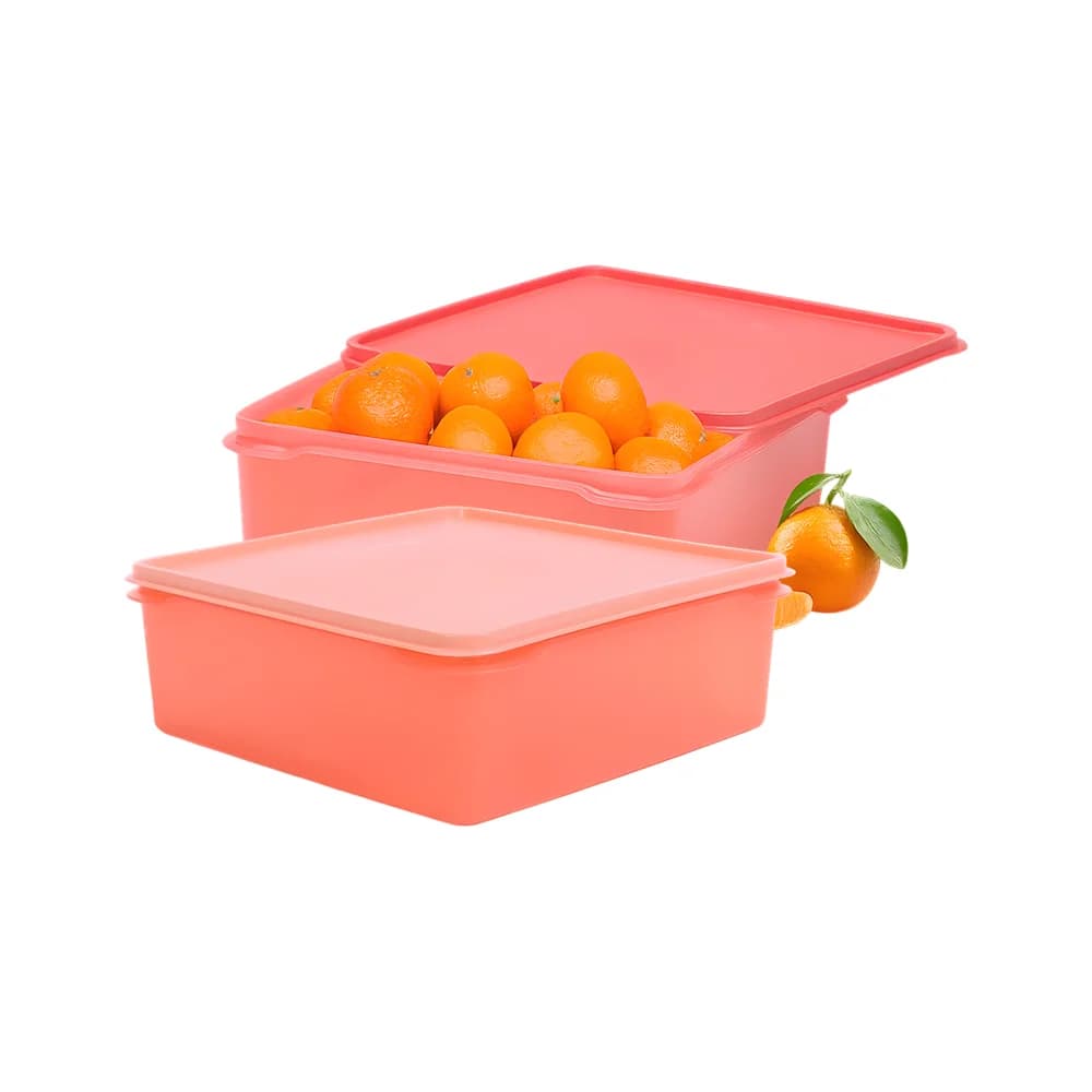 Set recipiente pătrate Cassa 4 L (2 buc.)